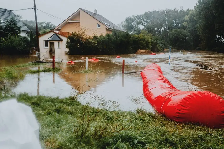 Experienced Water Damage Restoration professionals at work