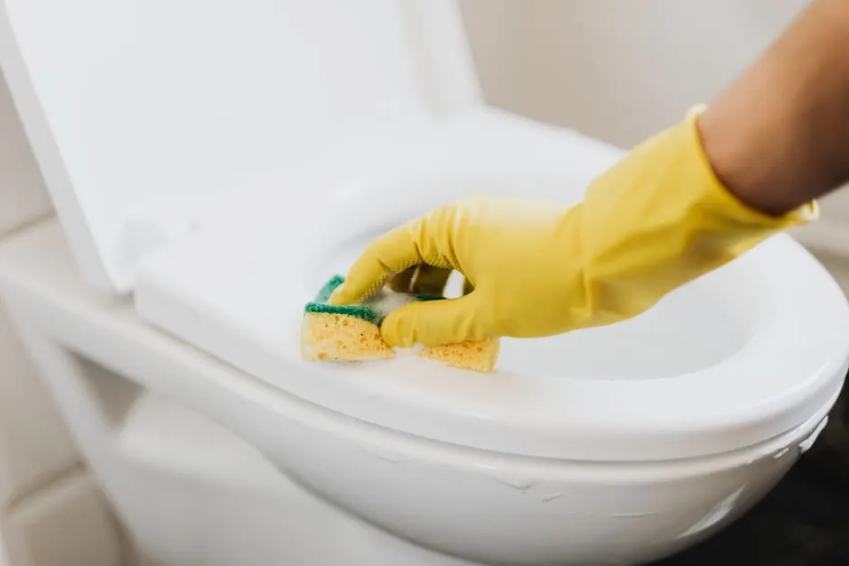 Experienced Water Damage Restoration professionals at work