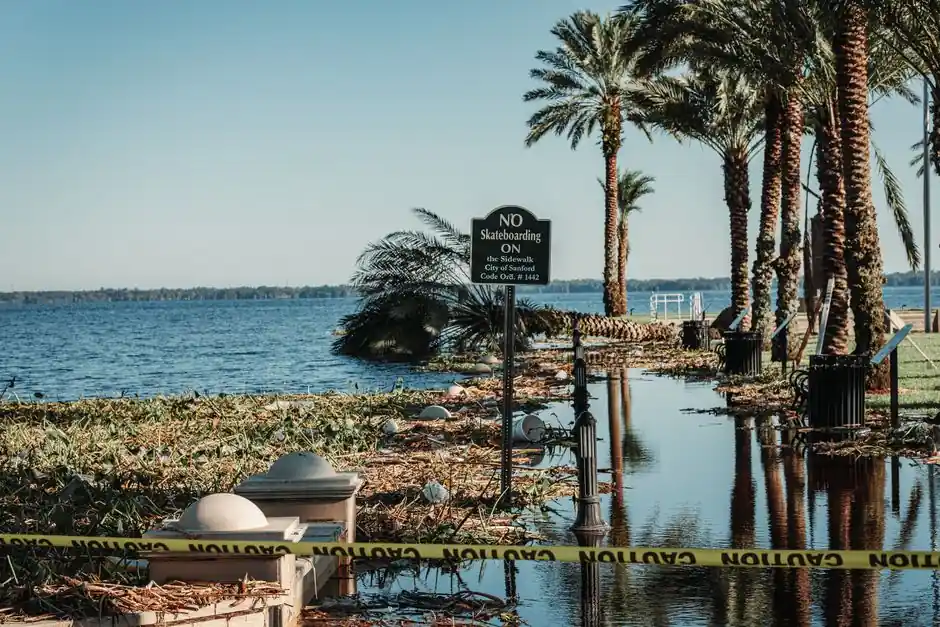 Professional Water Damage Mitigation in BLOOMINGTON