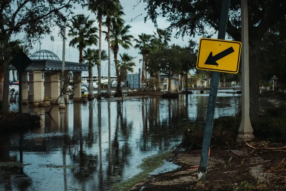 Water Damage Mitigation