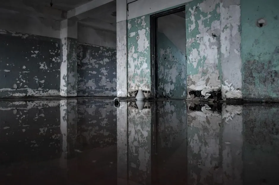 Water Damage Restoration near me for BLOOMINGTON homes